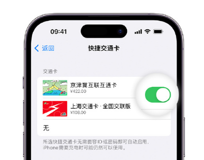 前锋apple维修点分享iPhone上更换Apple Pay快捷交通卡手绘卡面 