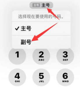 前锋苹果14维修店分享iPhone 14 Pro Max使用副卡打电话的方法 