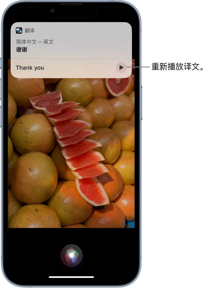 前锋苹果14维修分享 iPhone 14 机型中使用 Siri：了解 Siri 能帮你做什么 