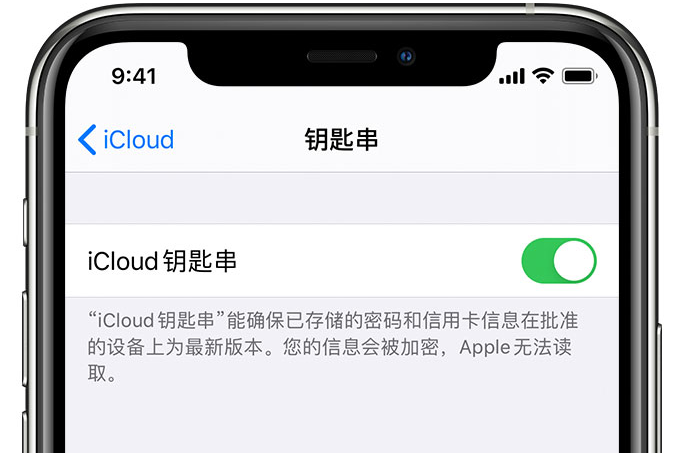 前锋苹果手机维修分享在 iPhone 上开启 iCloud 钥匙串之后会储存哪些信息 