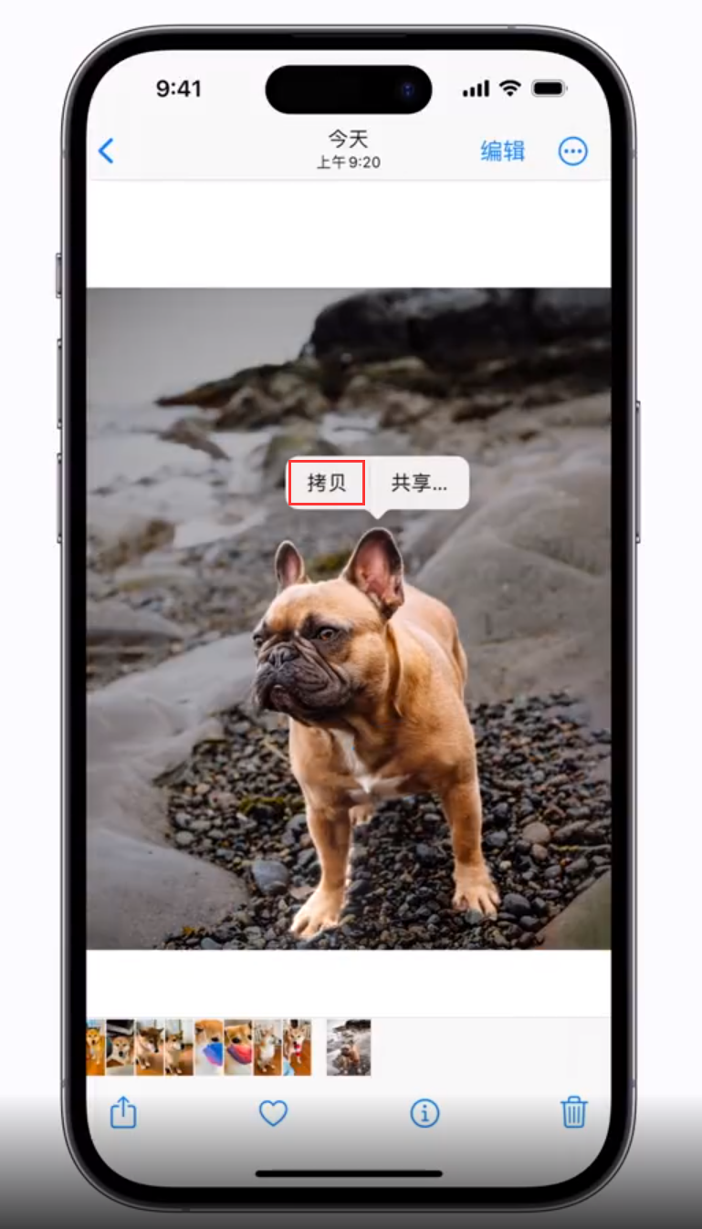 前锋苹果手机维修分享 iOS 16 自带一键抠图功能 