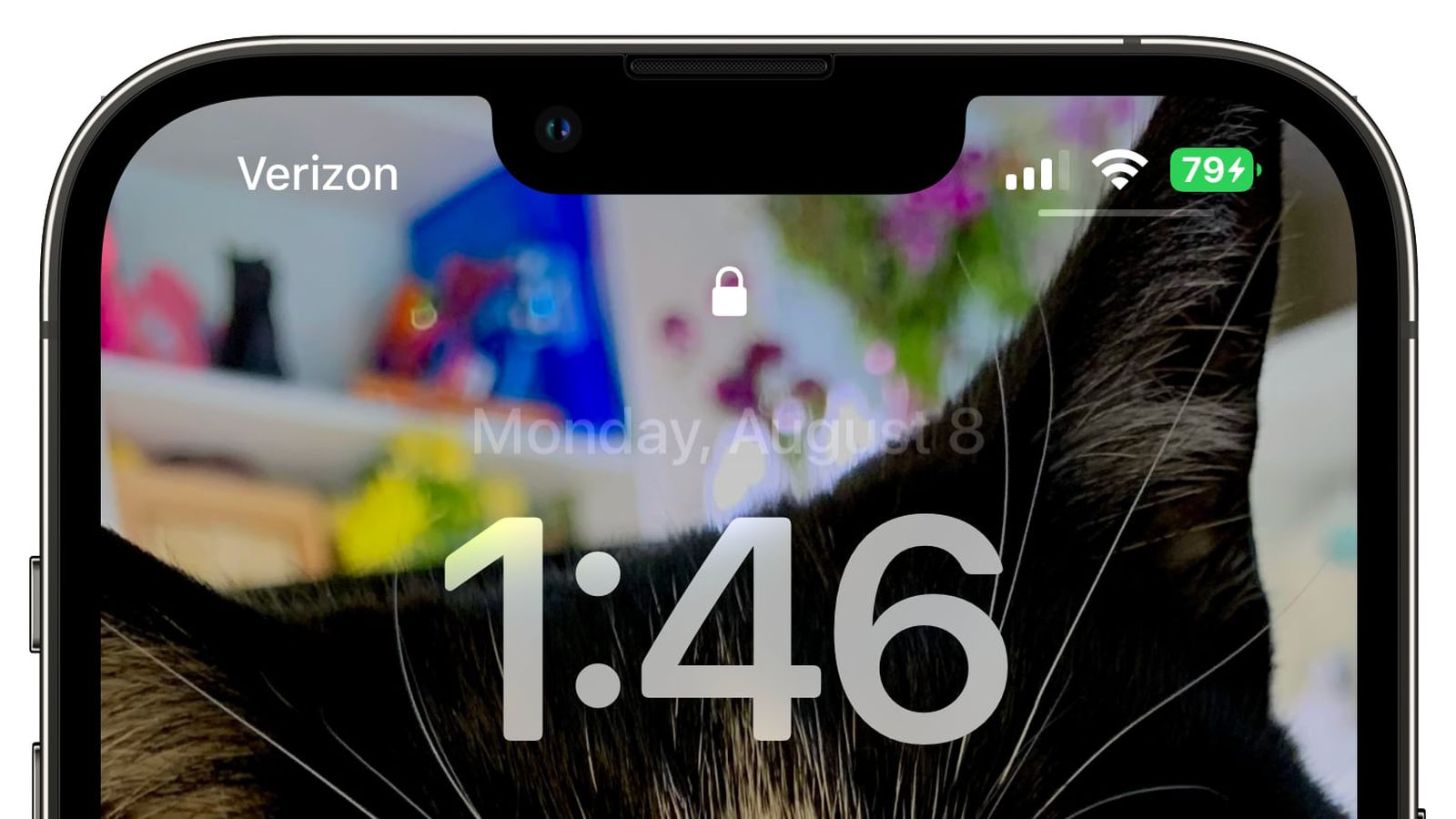 前锋苹果手机维修分享iOS 16 beta 5 支持状态栏显示电池百分比，如何开启？支持哪些机型 