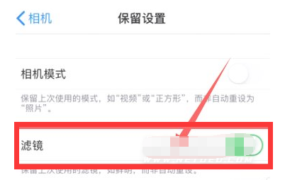 前锋苹果13维修分享iPhone13拍照有绿点是怎么回事 