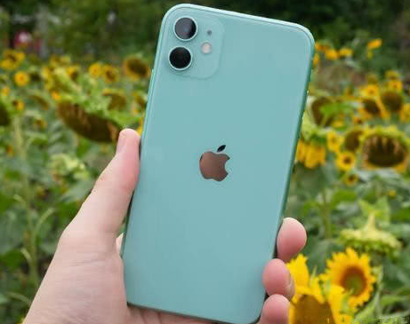 前锋苹果维修点分享iPhone 11锁屏密码认知与使用科普 
